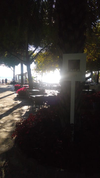 Sonstiges Barut Hemera