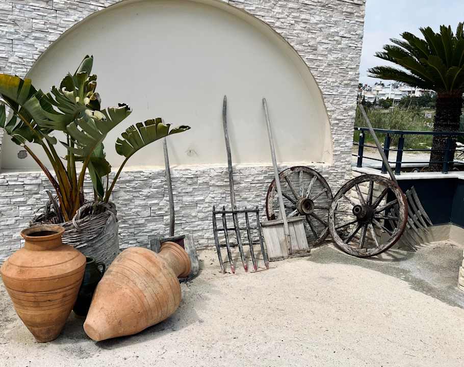 Gartenanlage Dream World Palace Hotel