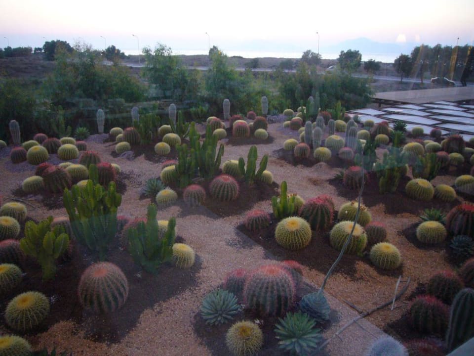 Sicht von der Taverne Sandy Beach Hotel & Family Suites