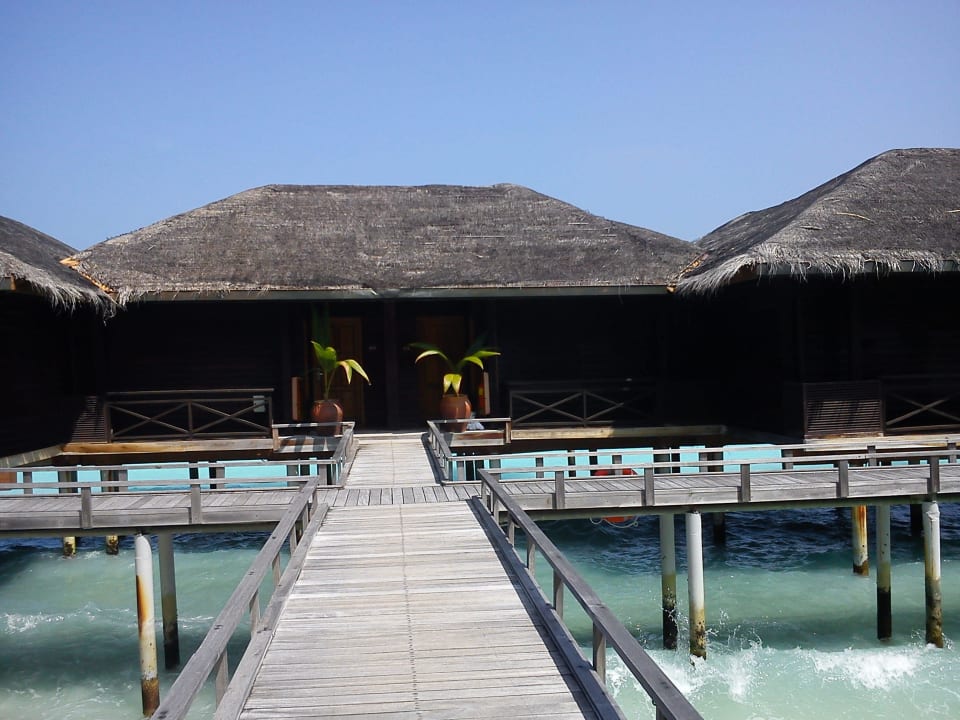 Wasserbungalow Kuramathi Maldives