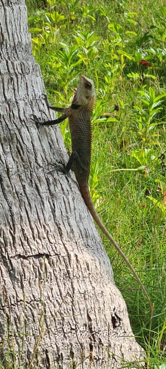 Garten Adaaran Select Hudhuran Fushi - Premium All Inclusive