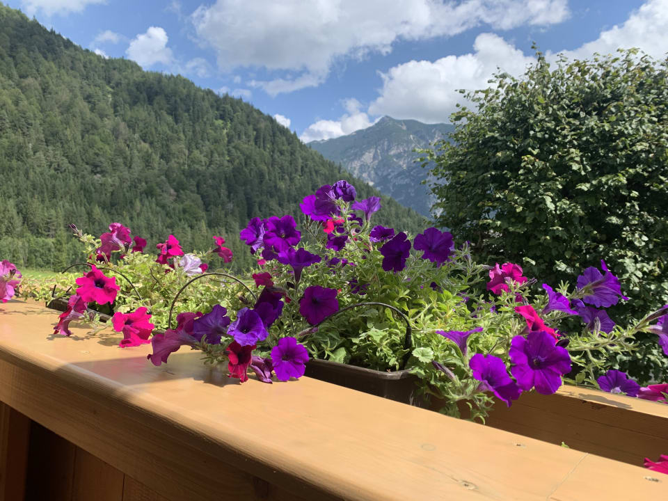 Ausblick Pension Elisabeth