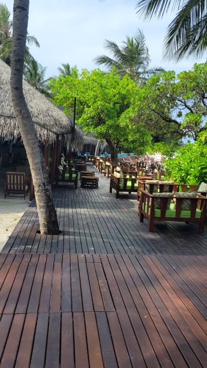 Gastro Summer Island Maldives