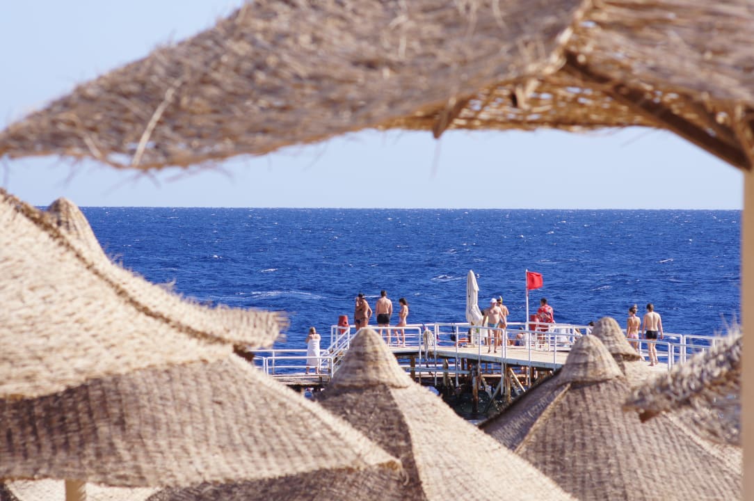 Вид на море с пляжа Serenity Serenity Alpha Beach