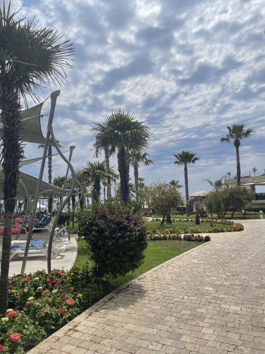 Gartenanlage TUI BLUE Palm Garden