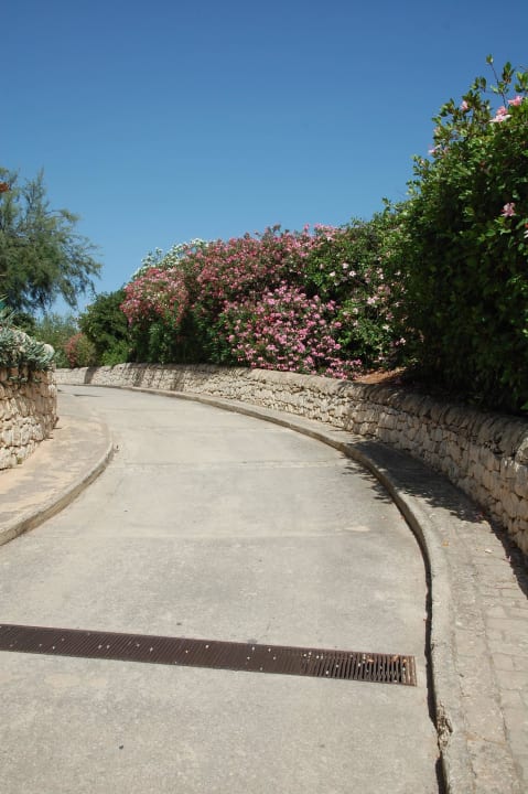 Unser Weg zum Restaurant I Giardini di Athena - Athena Resort