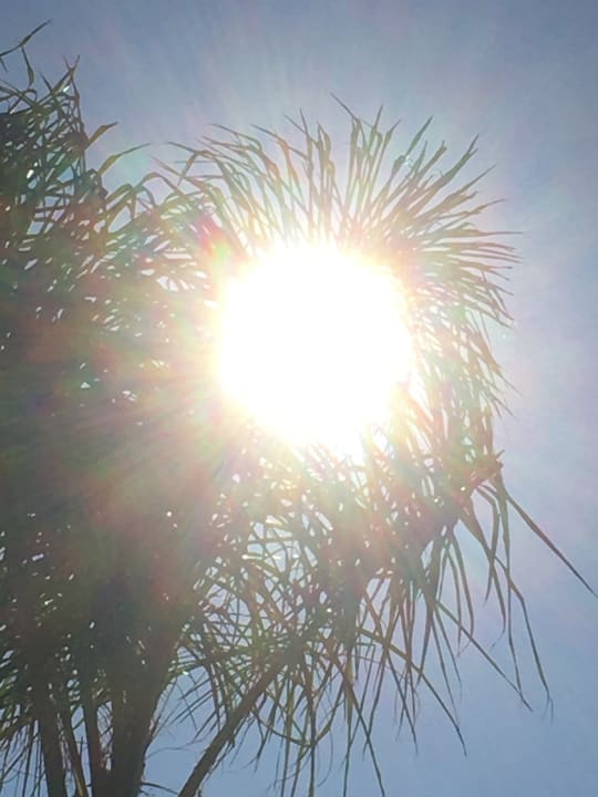 Ausblick TUI MAGIC LIFE Calabria