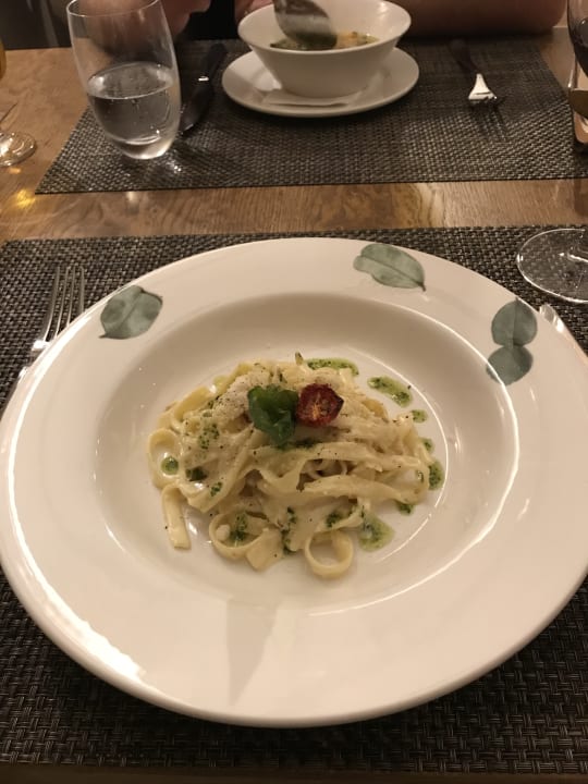 Gastro Acanthus Cennet Barut Collection