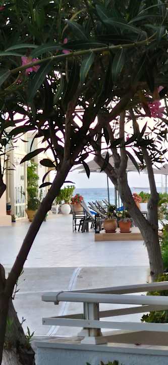 Ausblick Hotel Kathrin Beach