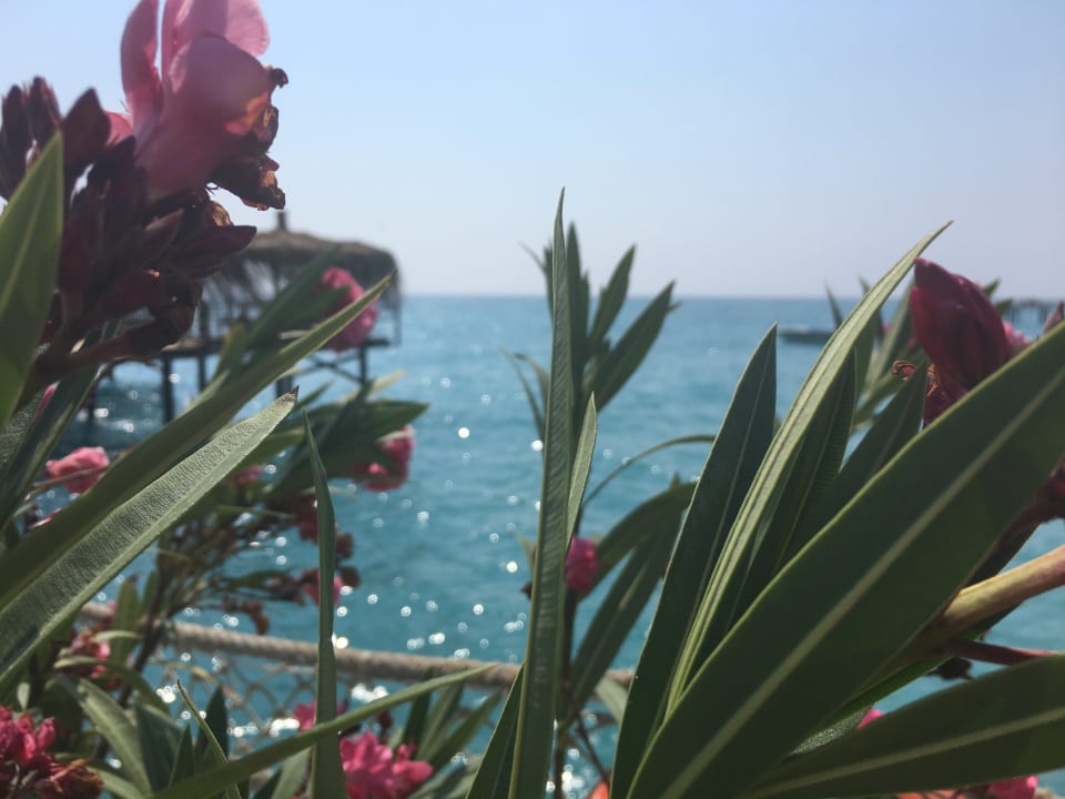 Strand Hotel Club Nena