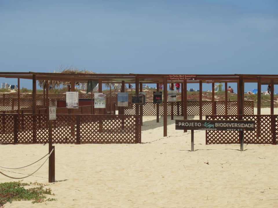 Strand Hotel Riu Cabo Verde