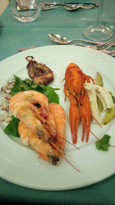 Gastro Acanthus Cennet Barut Collection