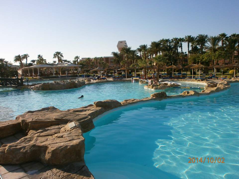 Die Poolanlage im hinteren Bereich Beach Albatros Resort