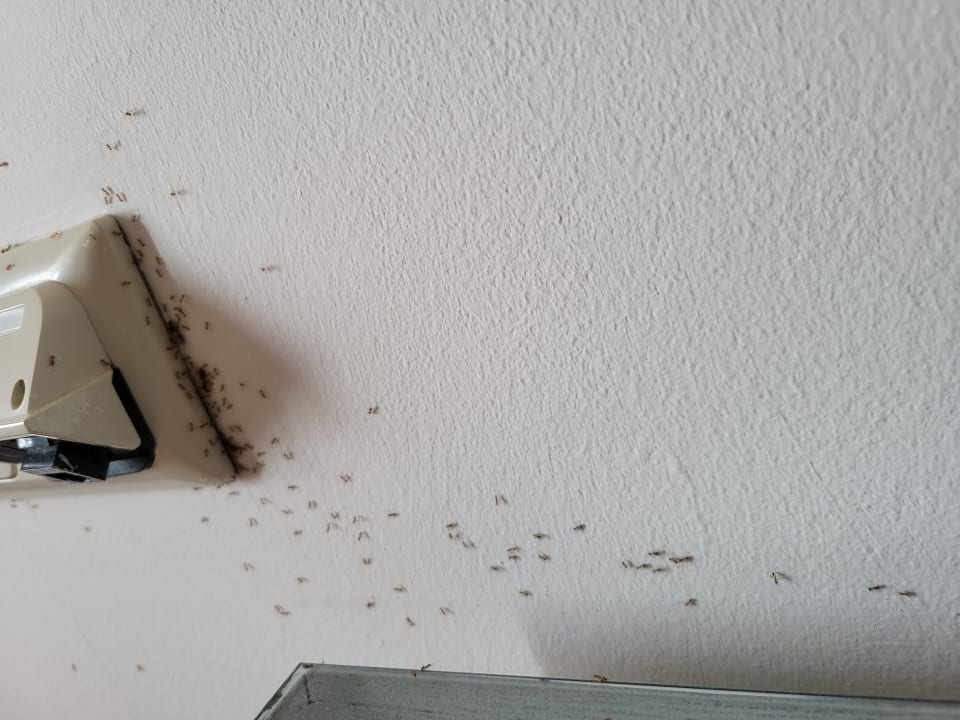 Zimmer Fuerte Costa Luz (Fuerte Conil-Resort)