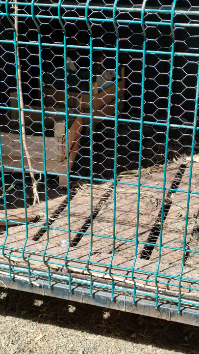 Gartenanlage VONRESORT Golden Coast