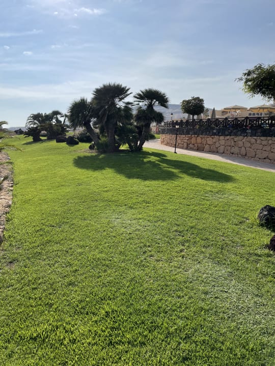 Gartenanlage R2 Pajara Beach