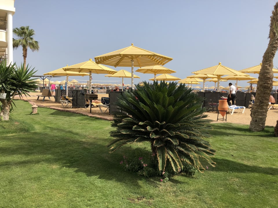 Gartenanlage SUNRISE Holidays Resort (Adults Only)