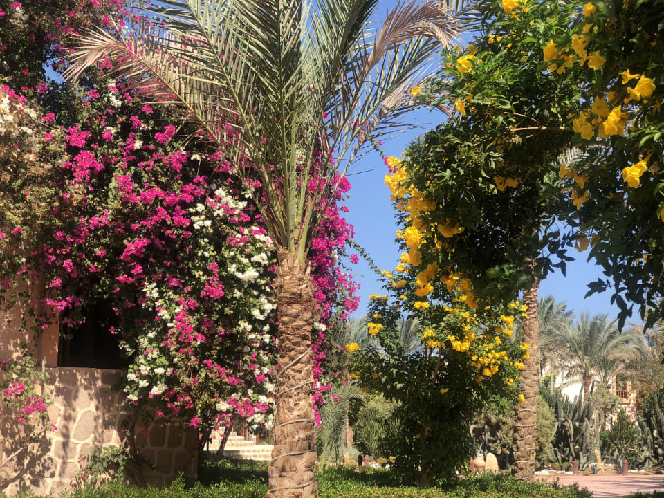 Gartenanlage Dream Lagoon Resort & Aqua Park