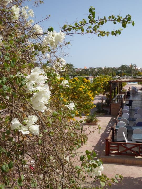 Gartenanlage Fantazia Resort Marsa Alam