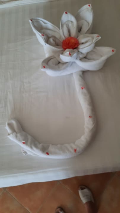 Zimmer Hotel Three Corners Ocean View prestige - Adults only