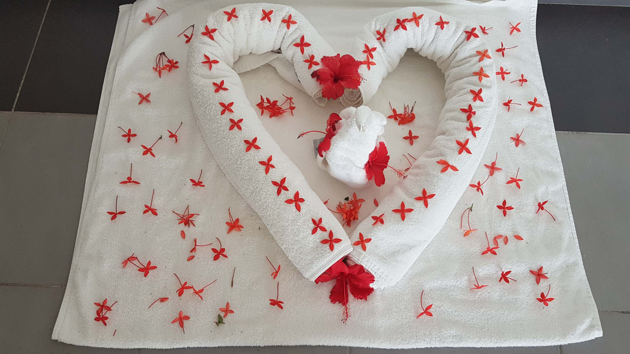 Zimmer Hotel Riu Republica - Adults only