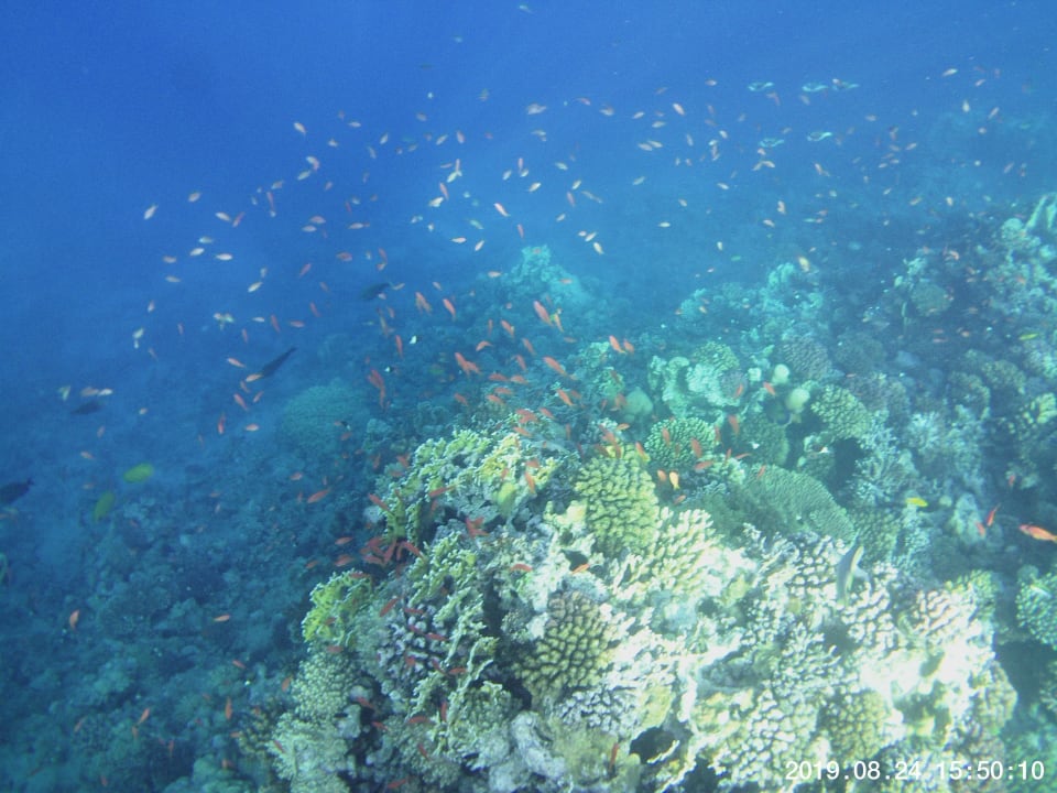 Strand Serenity Alpha Beach