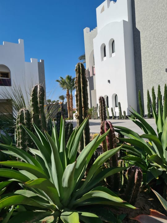 Gartenanlage Sunrise Tucana Resort - Grand Select