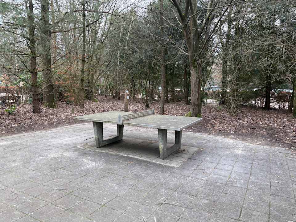 Sport & Freizeit Roompot Bospark De Schaapskooi