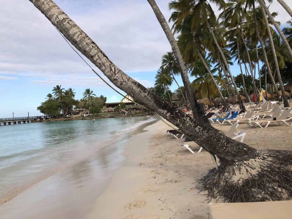 Strand  Dreams La Romana Resort & Spa