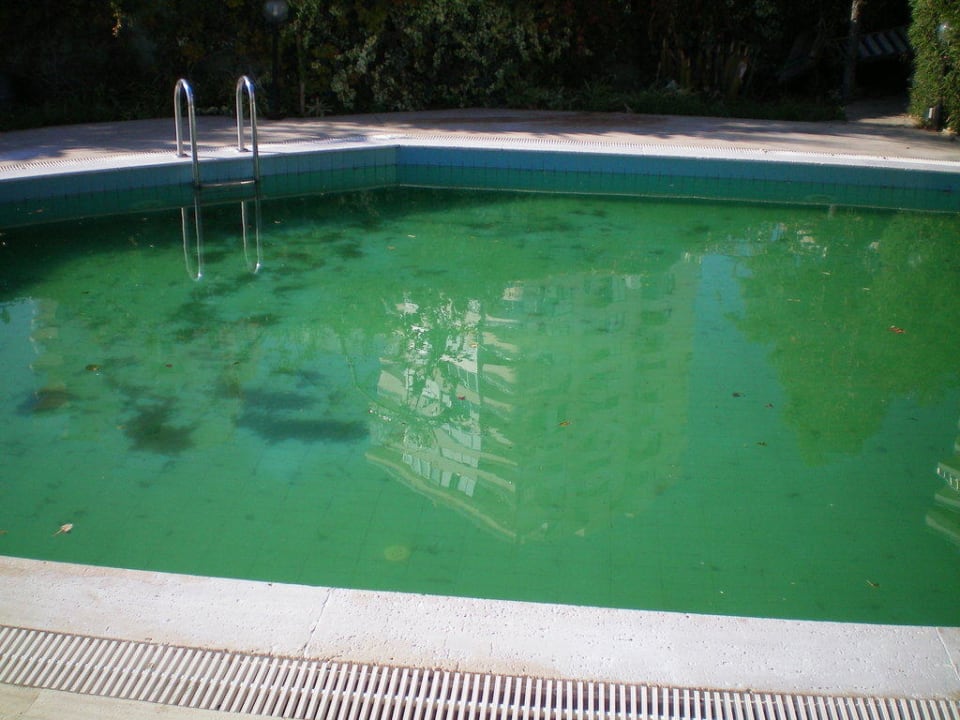 Dreckiger Pool (unbenutzbar), Bild 3 Falcon Hotel