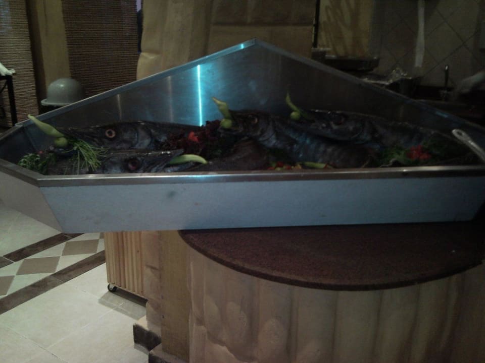 Fisch Pickalbatros Alf Leila Wa Leila Resort - Neverland Hurghada