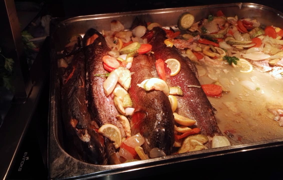 Gastro Side Star Elegance