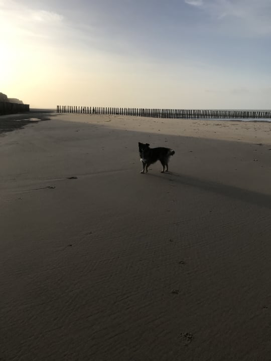 Strand Guesthouse La Maison Blanche