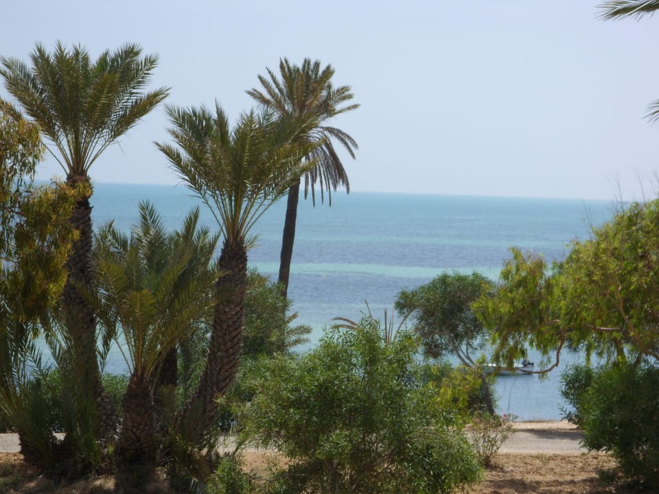 Blick vom Balkon Hotel El Mouradi Djerba Menzel
