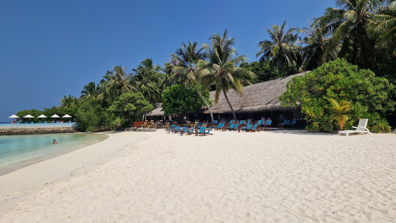 Gastro Summer Island Maldives