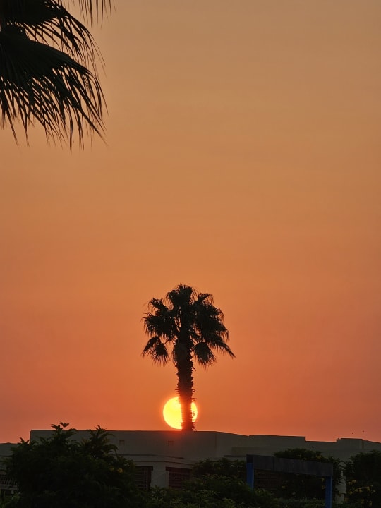 Ausblick Hotel Sheraton Soma Bay Resort