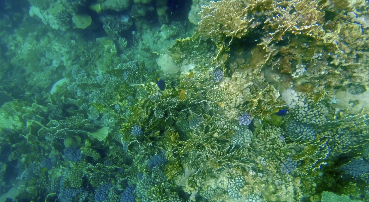 Sport & Freizeit Casa Mare Resort