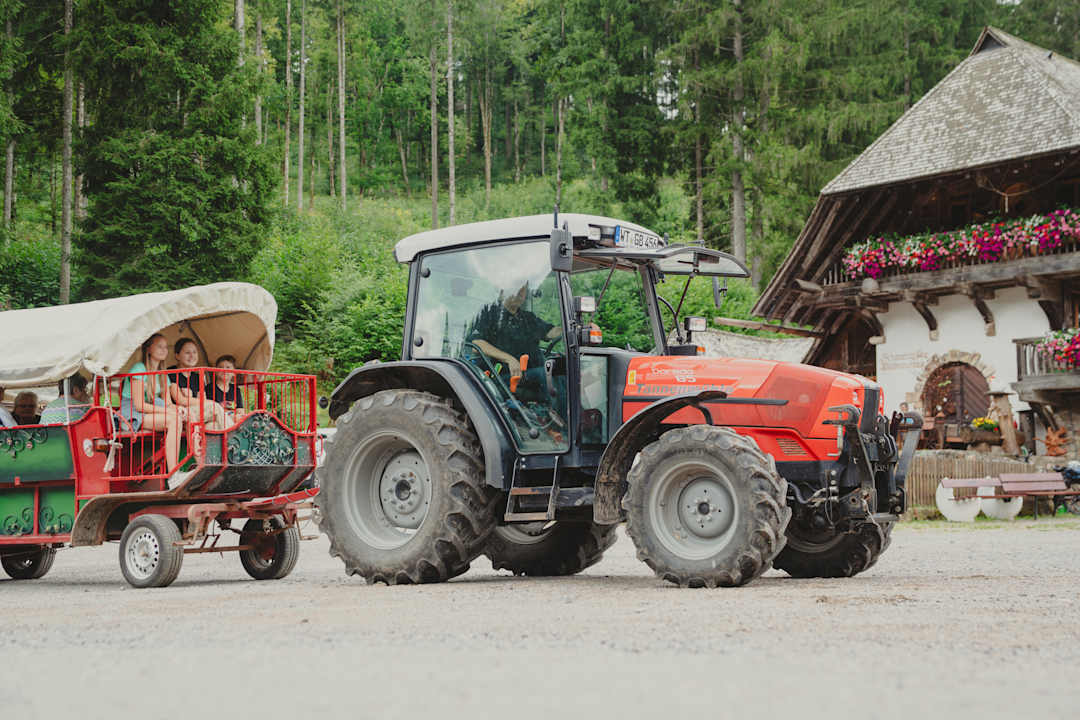 Sport & Freizeit Hotel Tannenmühle