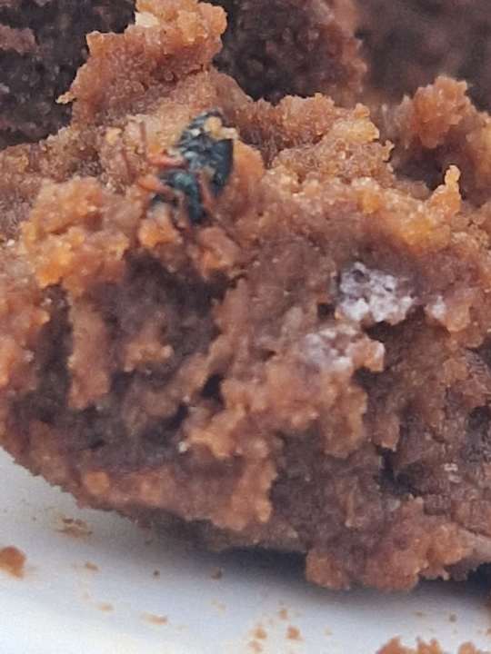 Gastro Coral Hills Resorts & SPA