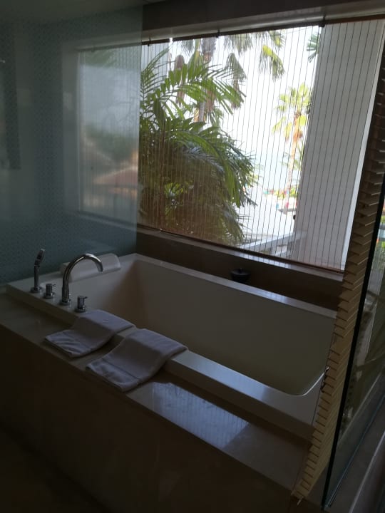 Zimmer Amatara Welleisure Resort