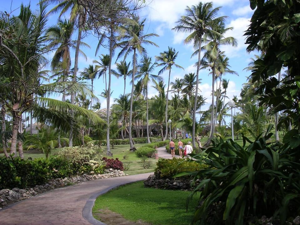 Vom Pool Richtung Meer Grand Palladium Select Bávaro Resort & Spa