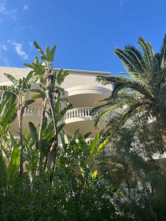 Gartenanlage Iberostar Selection Albufera Park