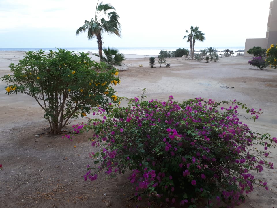 Zimmer The Breakers Diving & Surfing Lodge