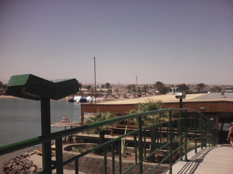 Ausblick Desert Rose