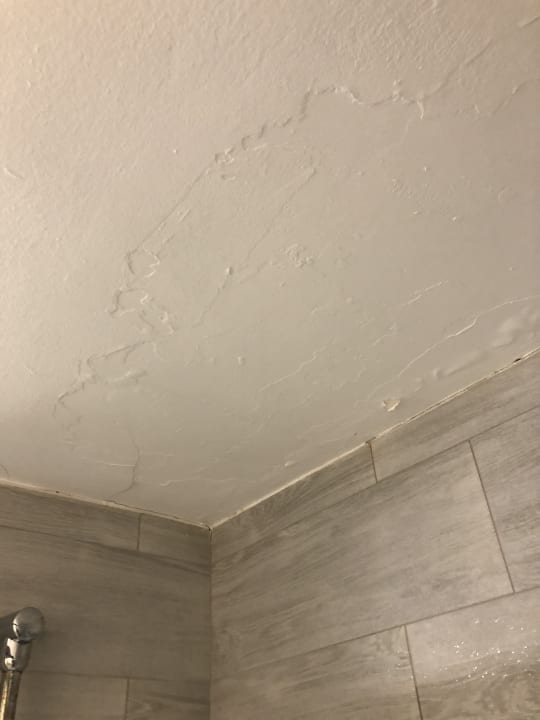 Zimmer Alcudia Garden Aparthotel