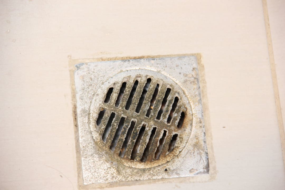 Verkeimter Abfluß im Bad  Sandy Beach Resort