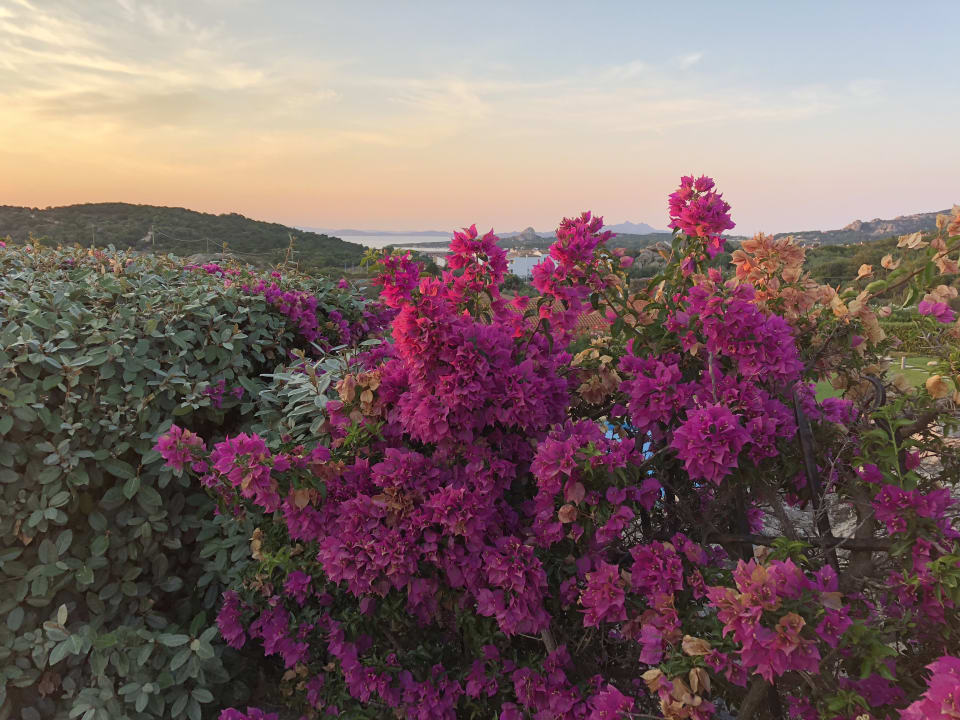 Ausblick Hotel Pulicinu