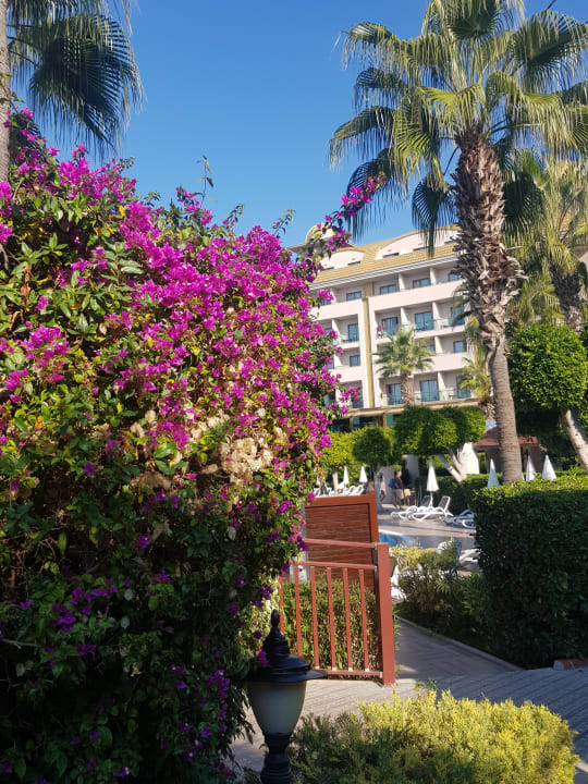 Außenansicht Aydinbey Kings Palace & Spa