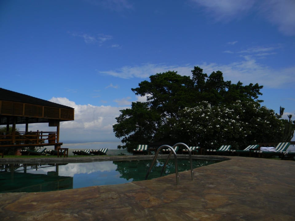Pool mit Panoramabar Manyara Wildlife Safari Camp