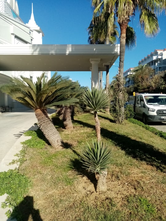 Außenansicht Royal Atlantis Beach Hotel